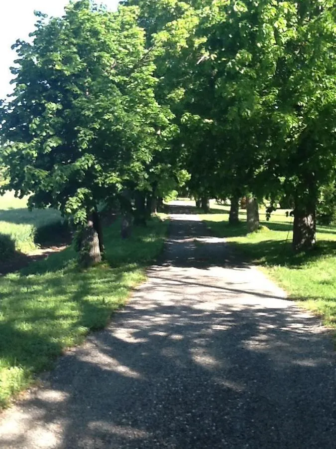 Suite Le Quervalat Dans Magnifique Bastide 18Eme エクス＝アン＝プロヴァンス 0*,